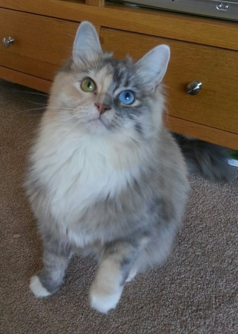 爱游戏平台-亚冠联赛国足战平 球员表现中规中矩，亚冠国家队