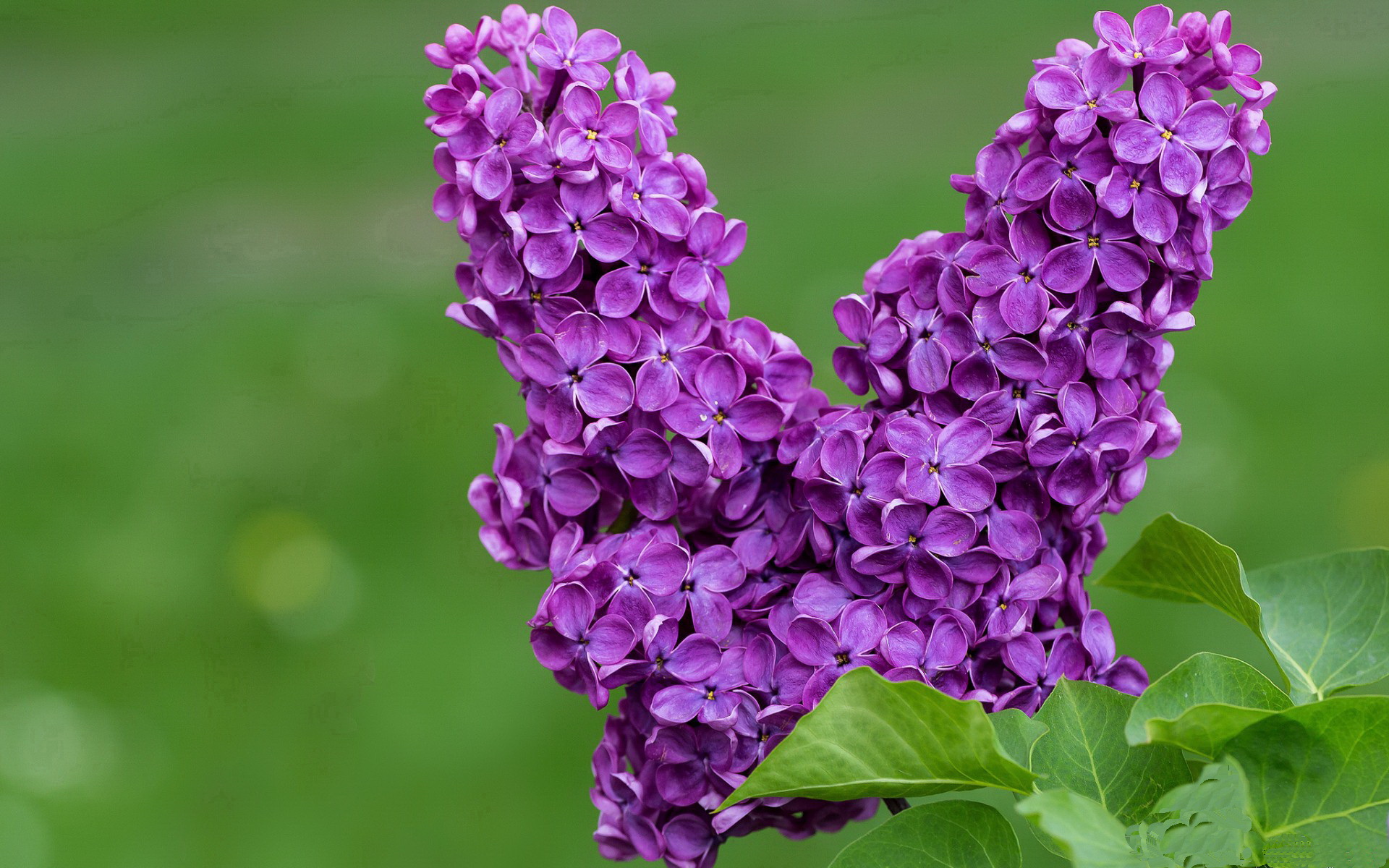 爱游戏体育app-技术分析：出发入水角度优化效果明显，出进水问题