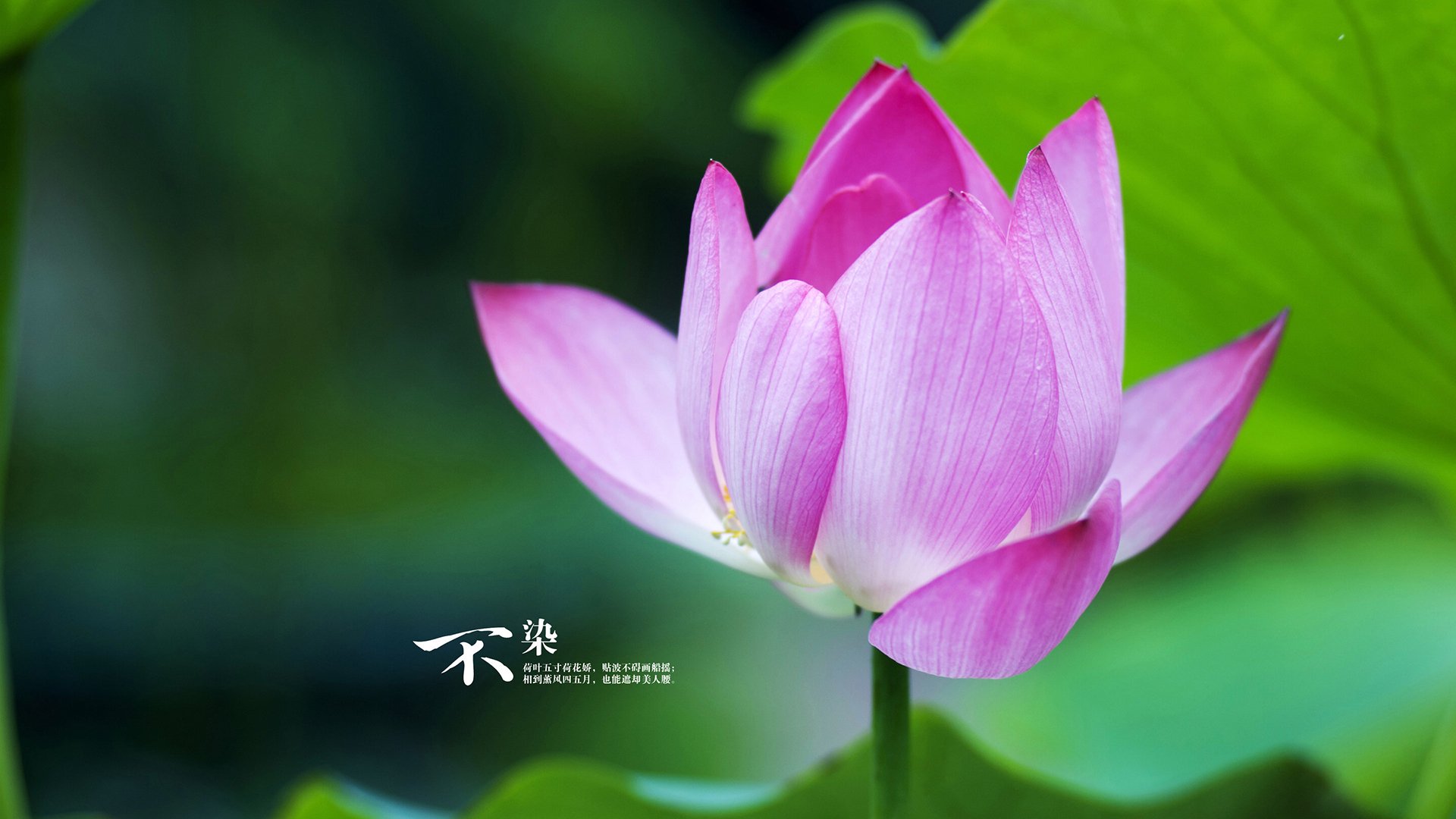 爱游戏app注册-杨瀚森攻防两端持续进化引发媒体关注，杨瀚森身高