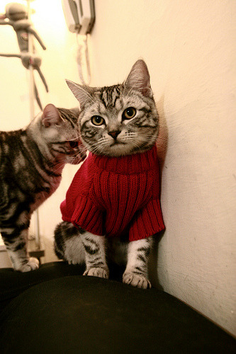 爱游戏官网充值-深圳领航队积极沟通建立场上默契基础，深圳领航青年队