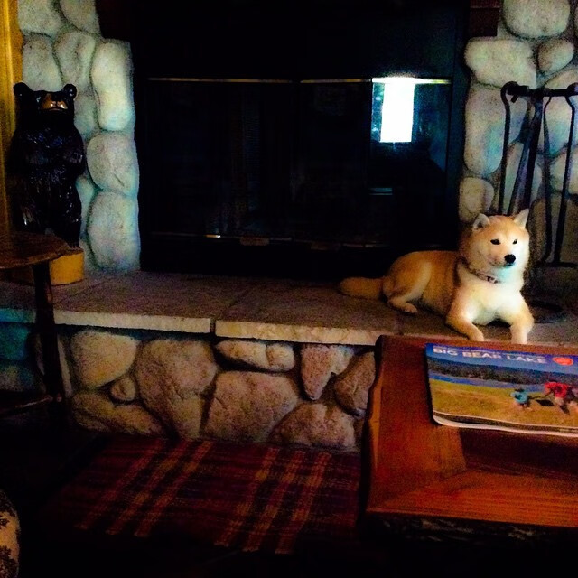 爱游戏体育-英雄联盟战队文化墙曝光激励语引粉丝共鸣，lol战队宣传海报