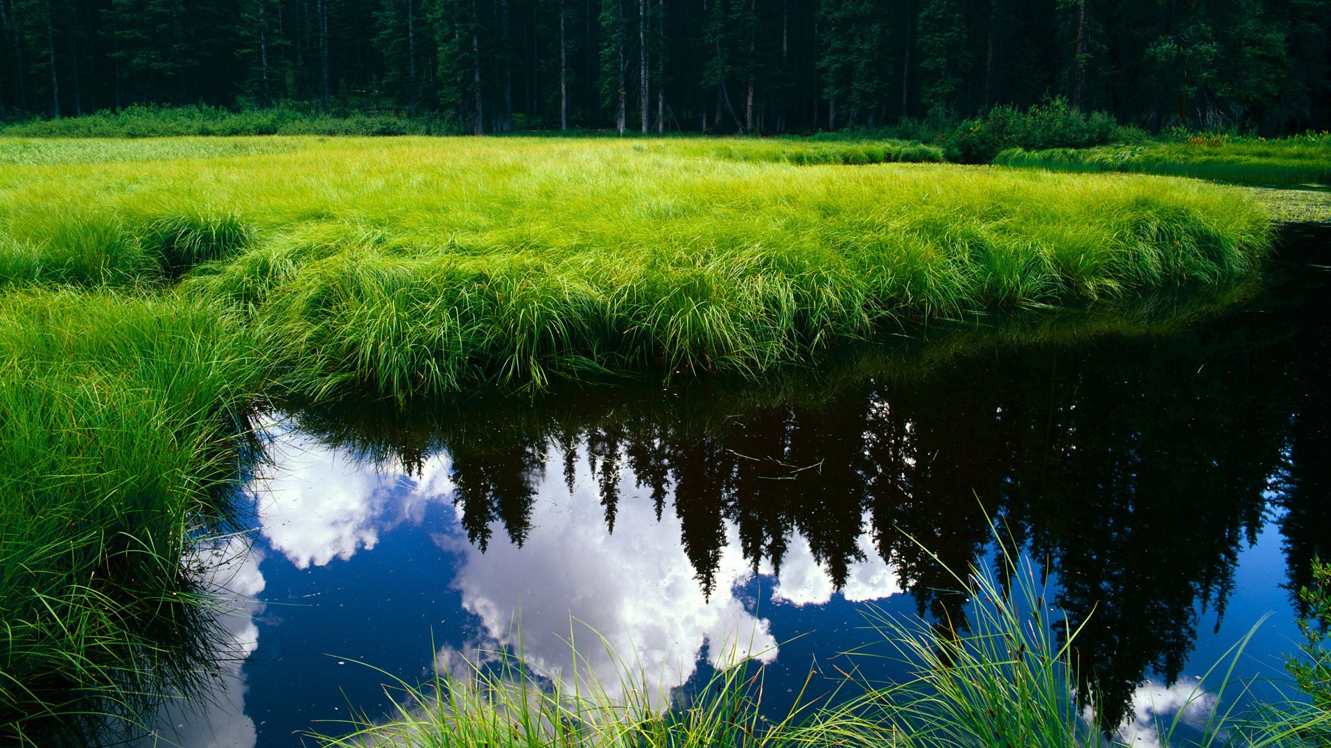 爱游戏体育入口-中立代表队B选手普里戈达50蛙展现经验，普里戈金百度百科