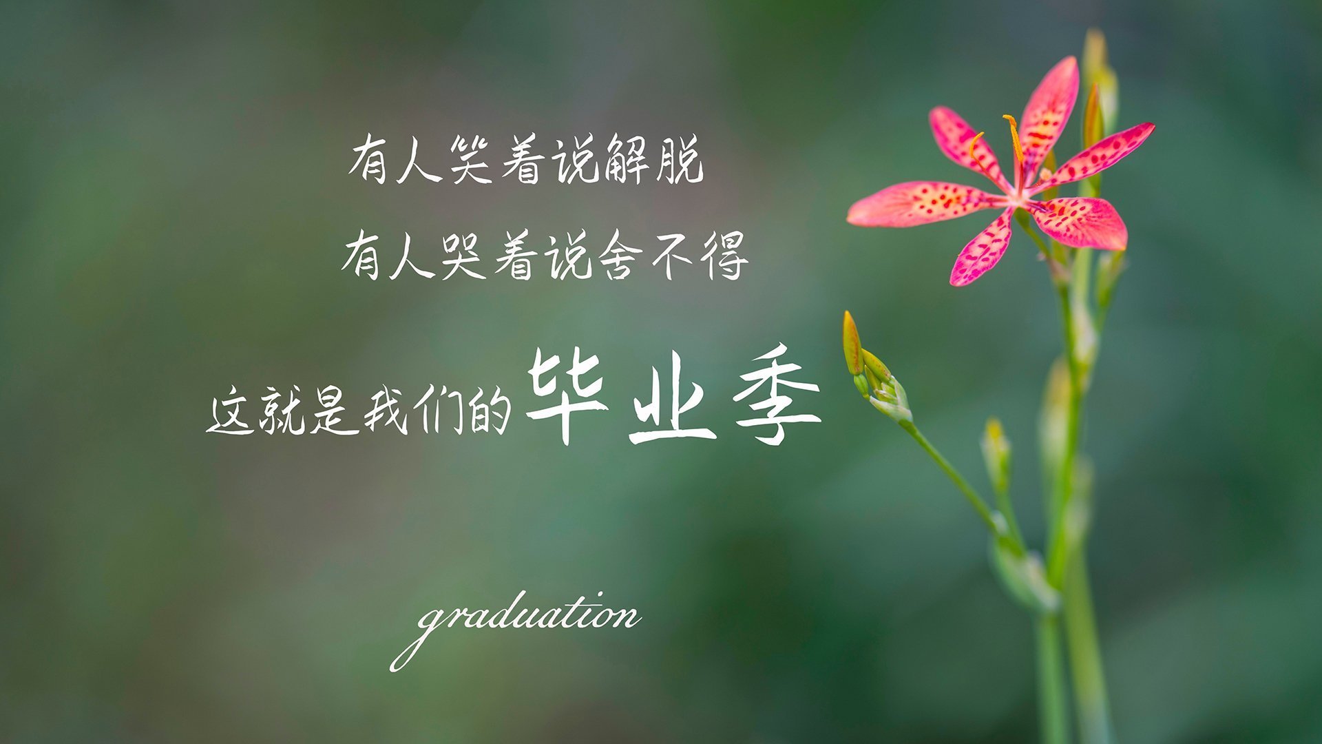 爱游戏体育app-乔治谈战术多样性对季后赛走得更远有帮助，乔治的防守有多好