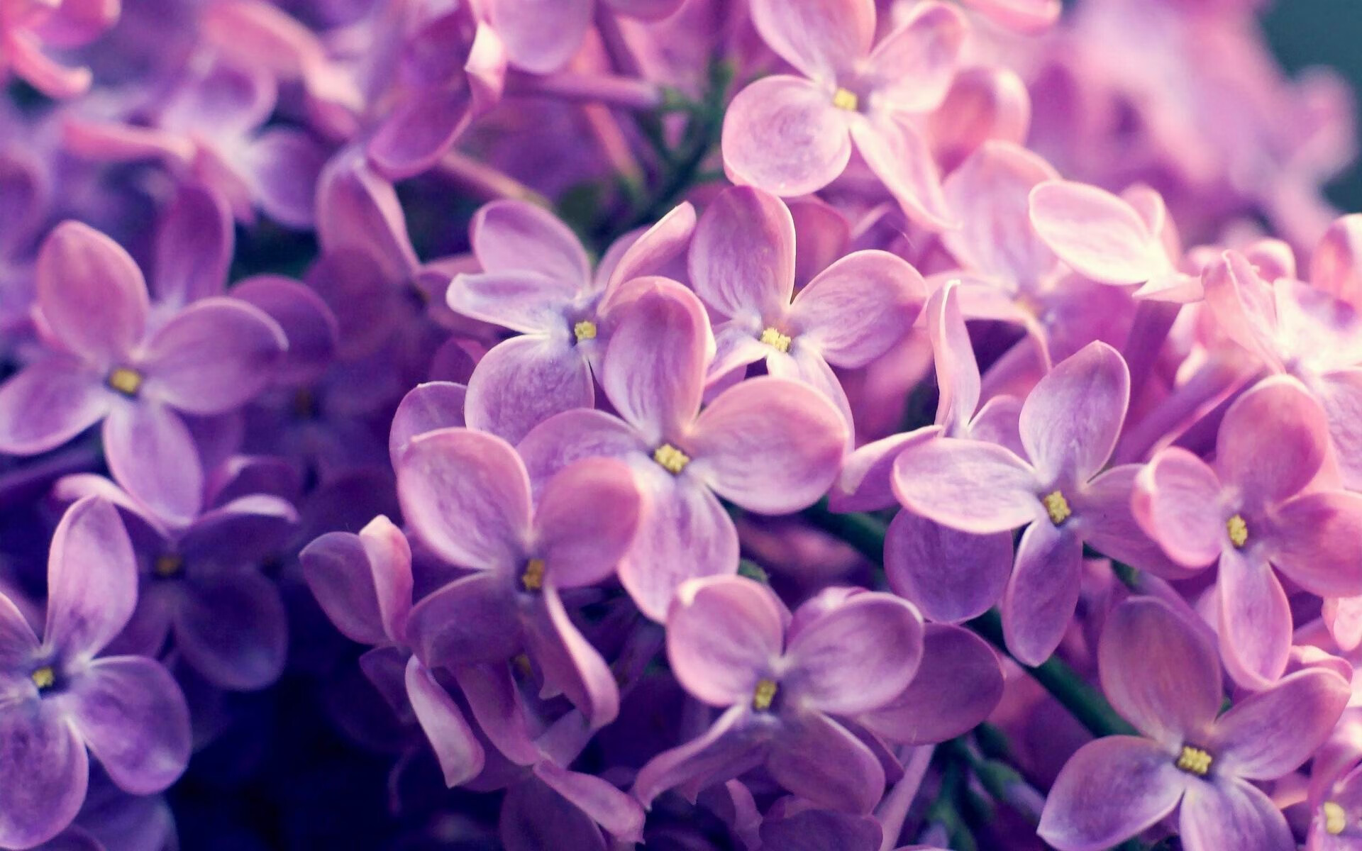 爱游戏体育下载-体育赛事影响力排行榜新一期榜单出炉，体育赛事价值排行