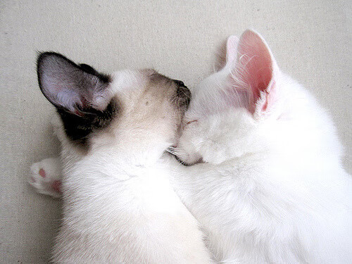 爱游戏体育在线-戴维·帕特森通过全面表现,帮助袋鼠队占据比赛主动,戴维a帕特森